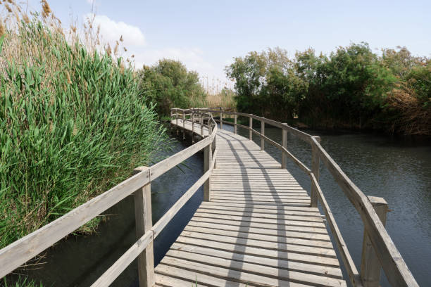 Baptism site Jordan river
